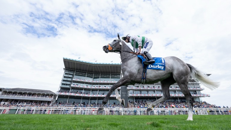 Alpinista won the Yorkshire Oaks, her fifth Group 1 on the bounce