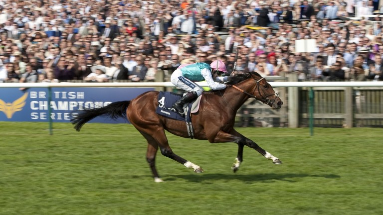Frankel in glorious isolation at the end of the 2,000 Guineas