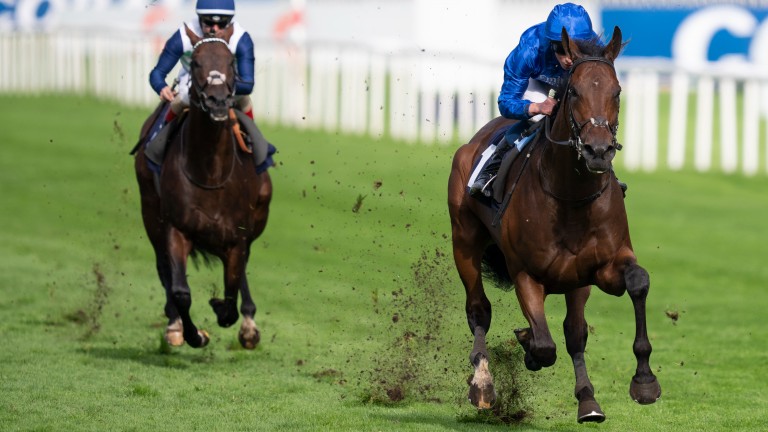 Adayar hors de l’Arc où les contacts favorisent un affrontement avec Baaeed à Ascot |  l’actualité hippique