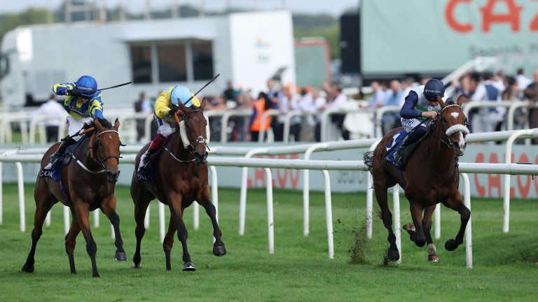 Trueshan (left) cannot reel in Coltrane (right) in the Doncaster Cup