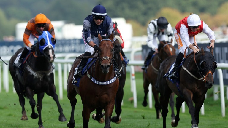 Chipstead following in the footsteps of older full-brother Oxted in the Portland Handicap