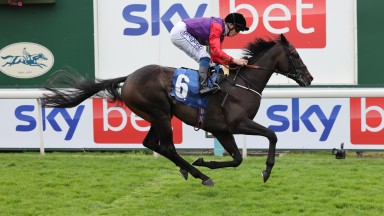 CHALK STREAM and David Probert win at York 24/7/21Photograph by Grossick Racing Photography 0771 046 1723