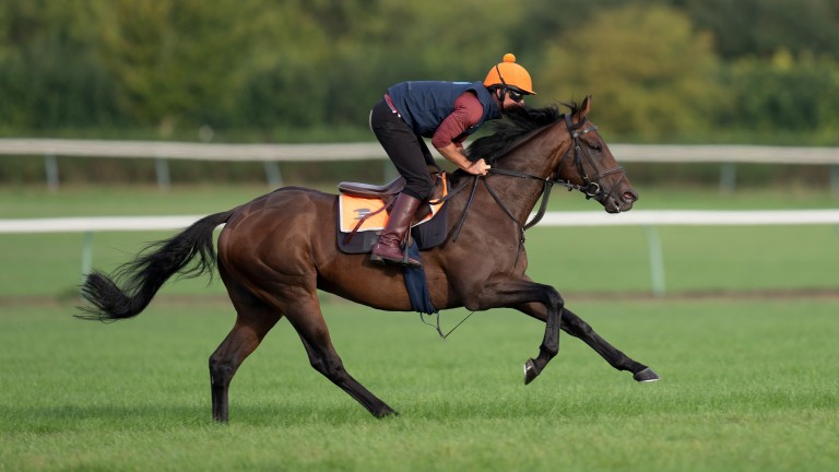 Ricky Hall vuelve a poner a Bae en marcha en Newmarket el miércoles por la mañana