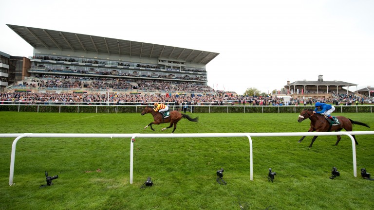 Saddler's Rock beats Opinion Poll in the 2011 Doncaster Cup