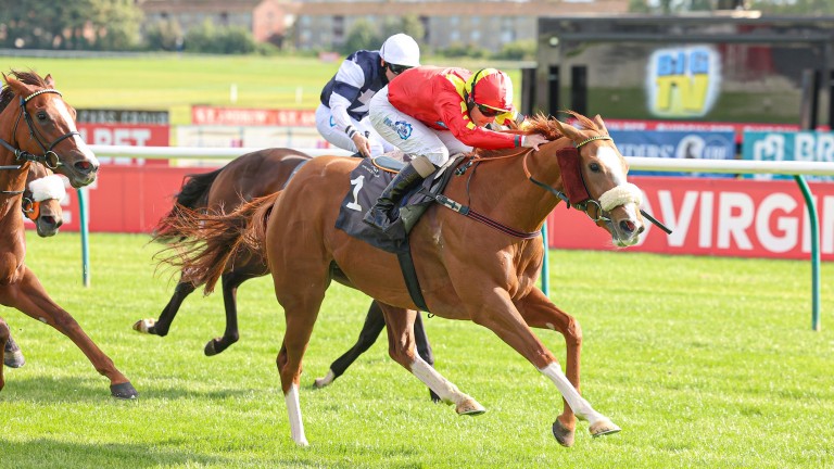 Gale Force Maya storms to her second Listed success at Ayr