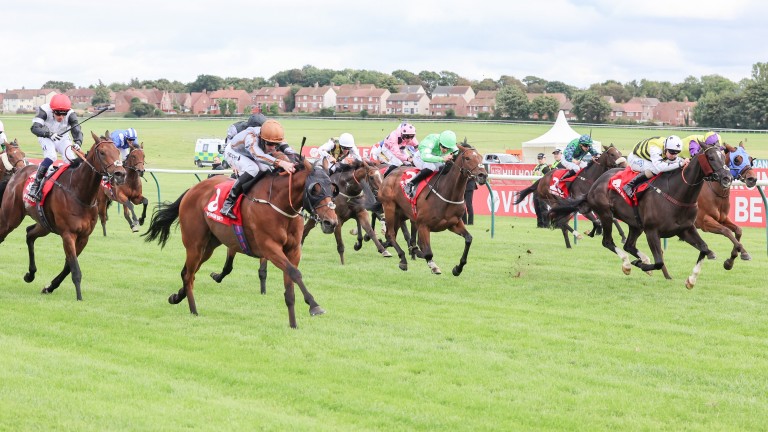 Summerghand tops Ayr Gold Cup