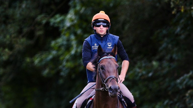 Baaeed and his lad Ricky Hall in Newmarket on Sunday morning