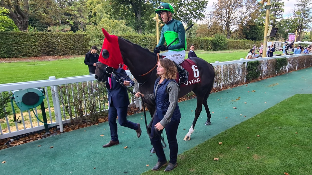 Melbourne Cup star Verry Elleegant to be supplemented for the Arc