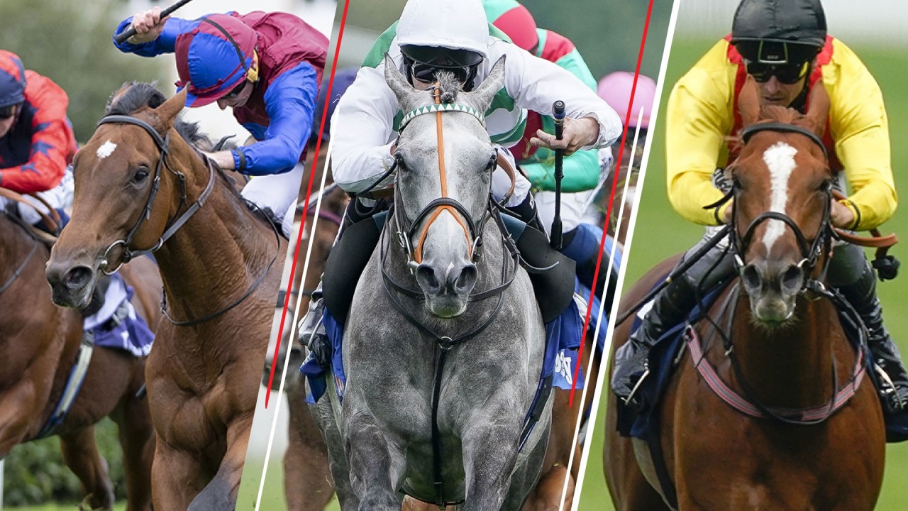 Prix de larc de triomphe 2022 betting trends how to buy sovereign cryptocurrency