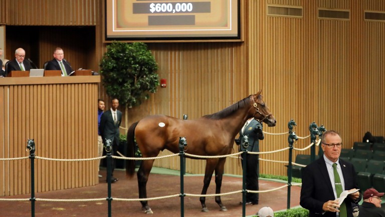 The session-topping Candy Ride colt at Keeneland