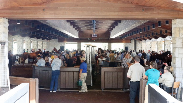 A busy atmosphere at Keeneland for the first session of Book 4