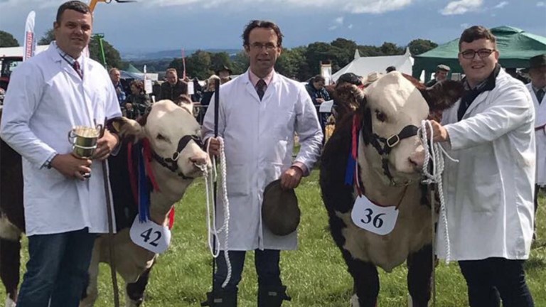 Best in show: Robert Allcock (centre) with his Hereford cattle and friends and advisers Ben Fairgrieve (left) and Twm Jones