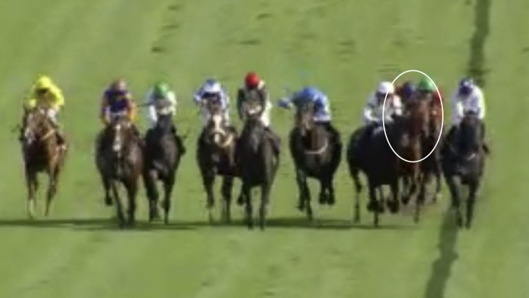 The concertina effect – judged to be caused by Sea King by the stewards – leads to Double Cherry (circled) making notable contact with Baltic Bird