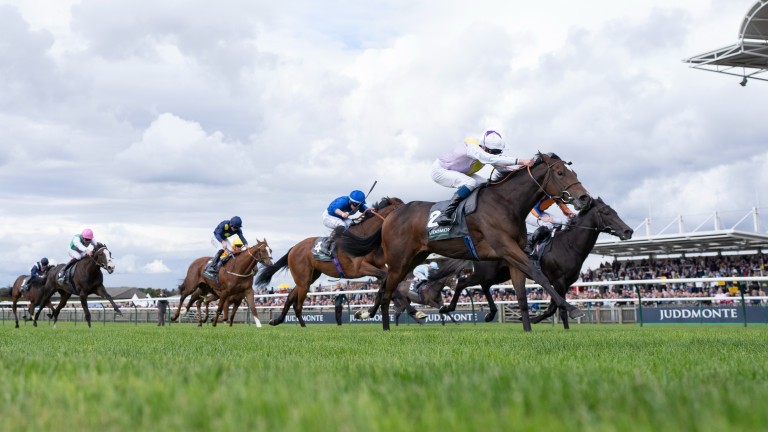 Lezoo gets the better of Meditate on the Rowley Mile