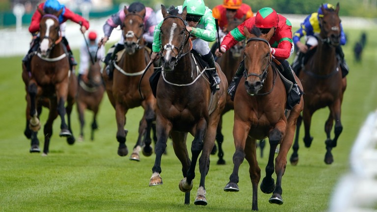 Grand Scheme (red/green) wins The Follow BetVictor On Twitter Handicap at Newbury on May 31, 2022 (Photo by Alan Crowhurst/Getty Images)