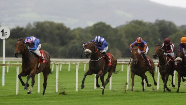 Statement and Dylan Browne McMonagle land the feature Navigation Stakes at Cork