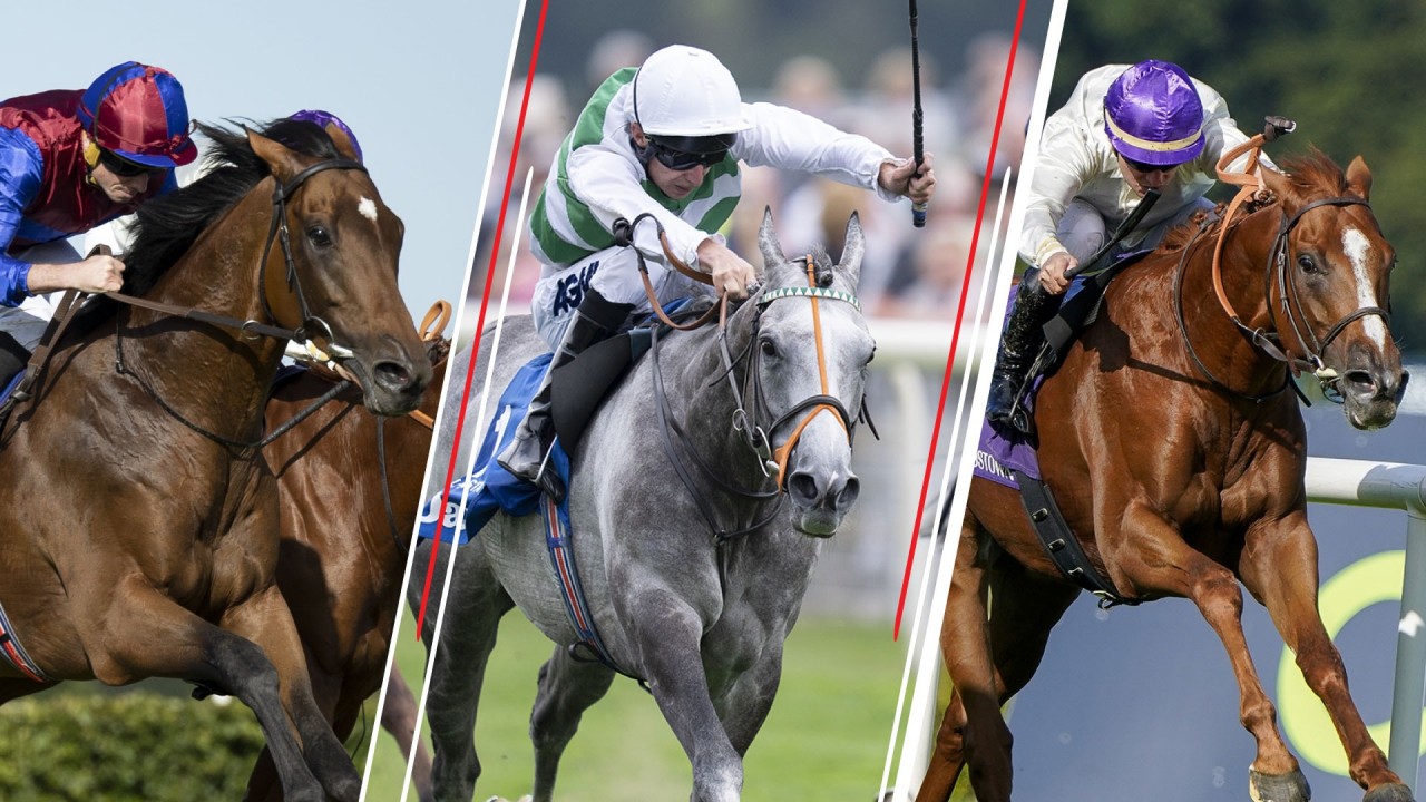 Prix de larc de triomphe 2022 betting trends what is ethereum wallet address