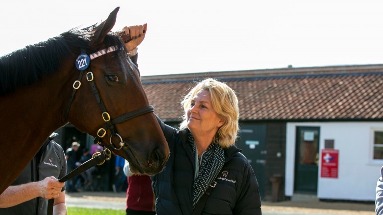 Madeleine Lloyd Webber of Watership Down Stud with the Frankel colt out of So Mi Dar who sold to Godolphin for 2,800,000gns