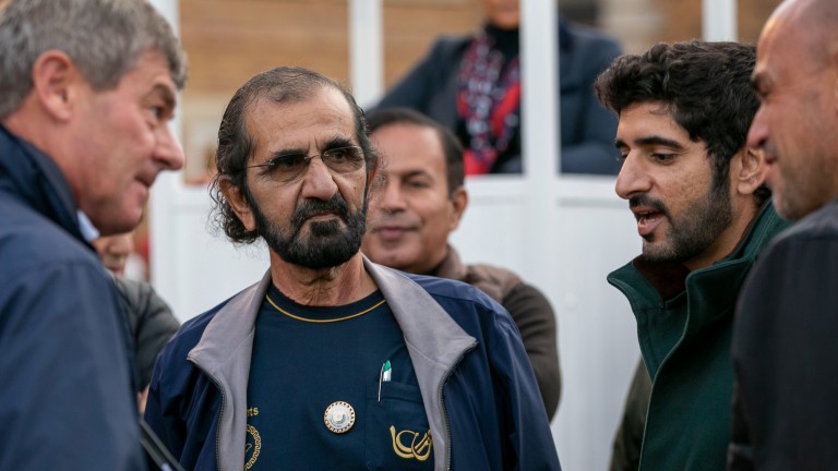 Sheikh Mohammed's operation continued to invest heavily in new blood at Tattersalls on Wednesday