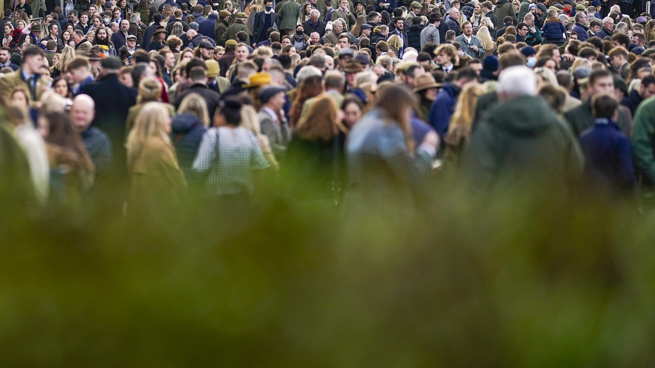 what is crowd behaviour