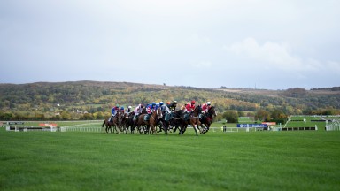 The runners in the opening race of the season race towards the 2nd  flight of hurdles.Cheltenham 21.10.22 Pic: Edward Whitaker