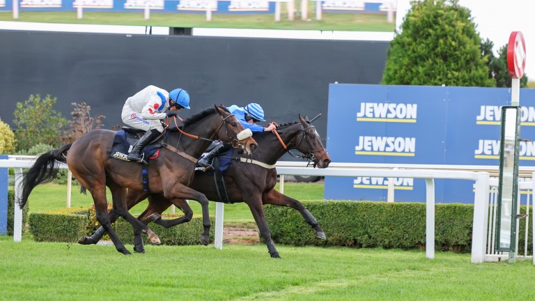 Horse Racing News | Latest Racing Updates | Racing Post