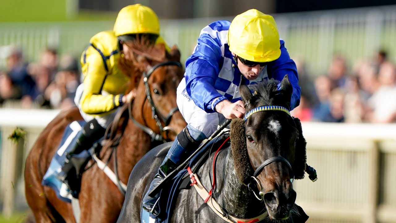 Matilda Picotte shows her class to land Listed prize for Kieran Cotter