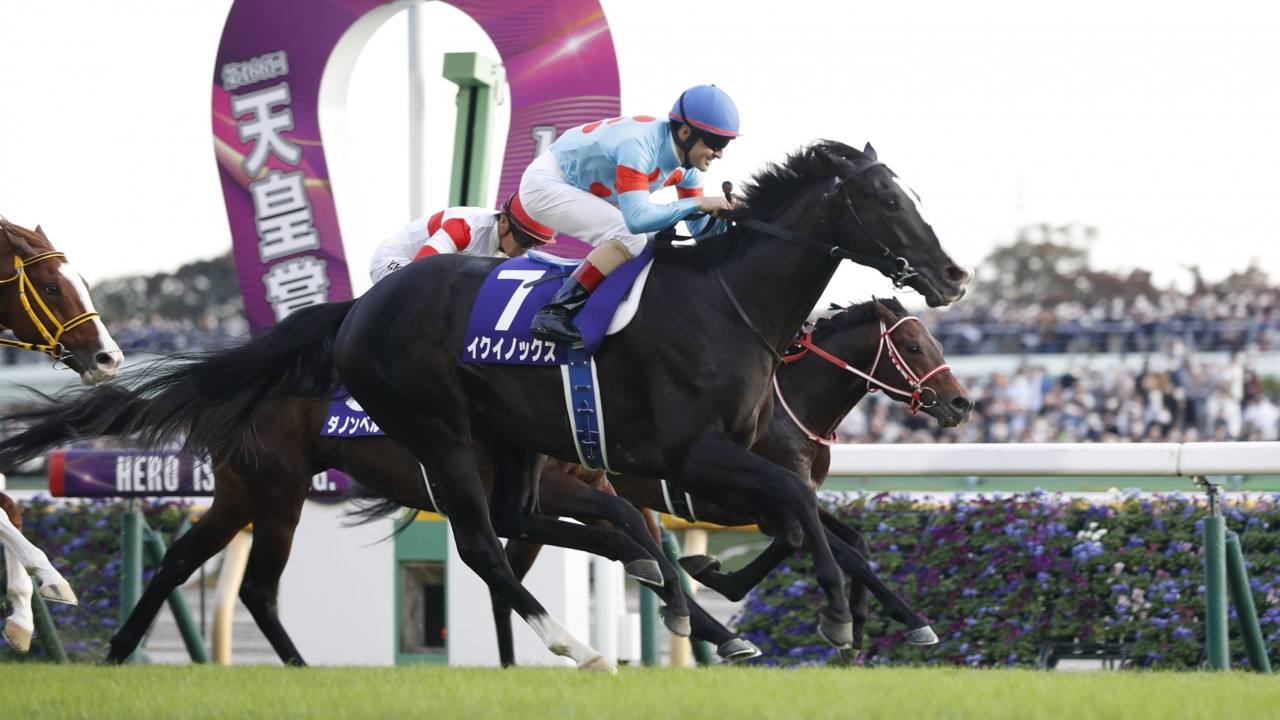 Equinox runs down Panthalassa for dramatic Tenno Sho Autumn success in