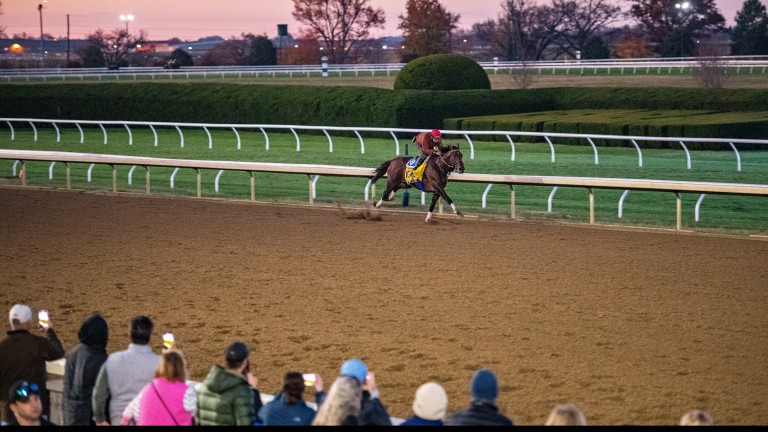 Flightline : La vedette du spectacle lors de la deuxième journée de la Breeders Cup