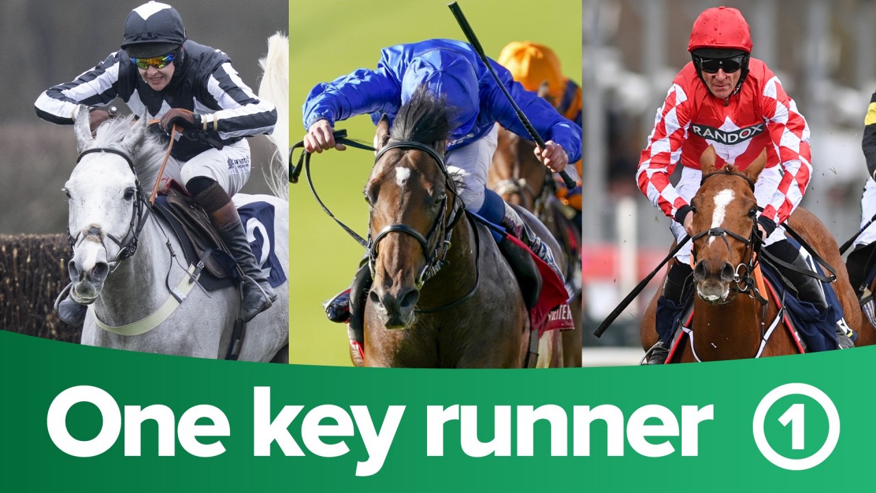 ITV Racing tips one key runner from each of the 12 races on ITV on Friday Horse Racing News