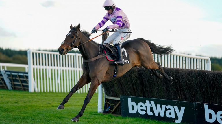 Greaneteen: Win the Haldon Gold Cup, but can he strike again in Tingle Creek?