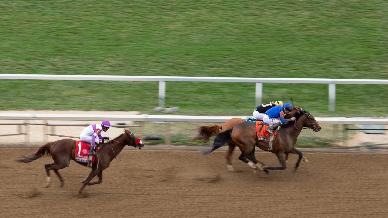 Future Darley stallion Cody's Wish to be campaigned on the track in