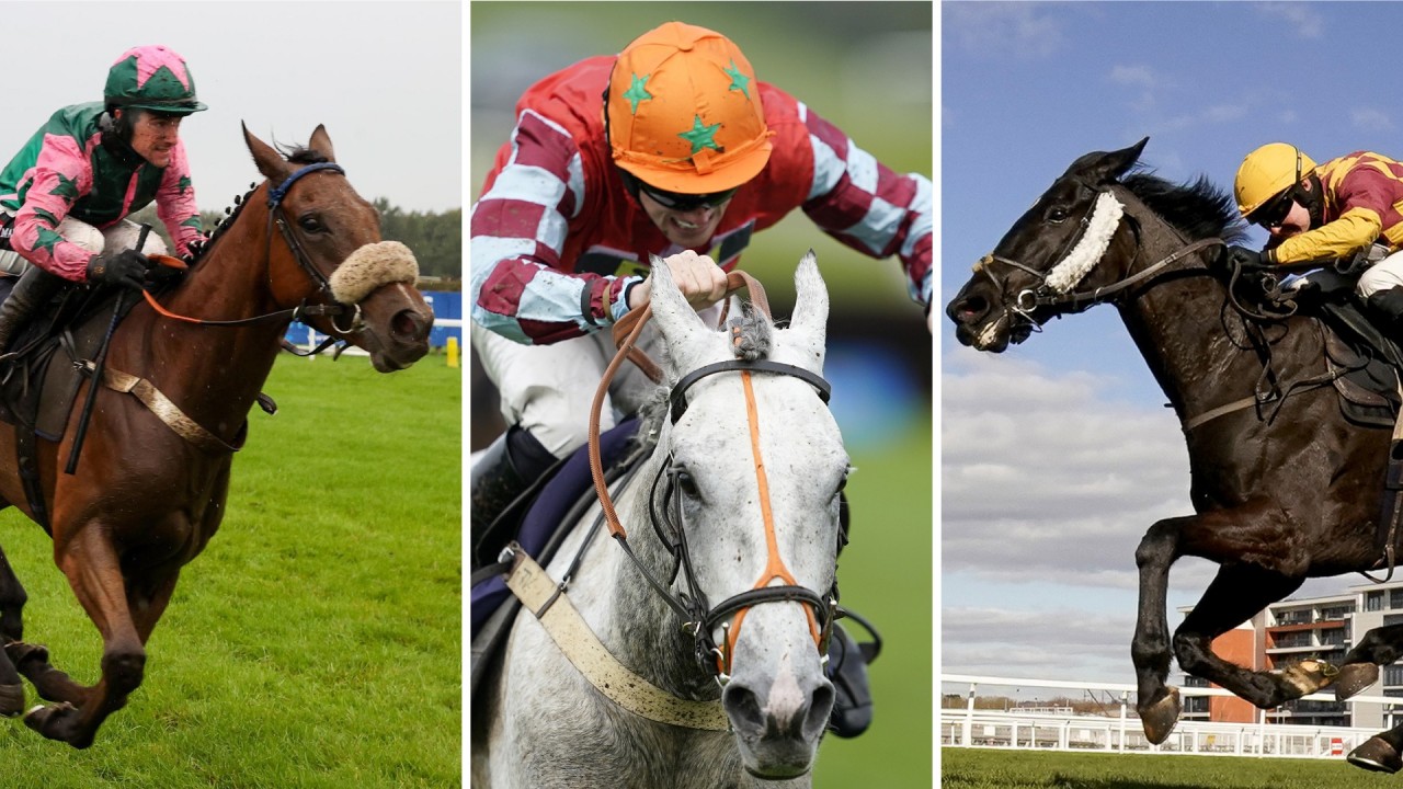 Three Cheltenham November meeting tips with a 'cracking eachway bet