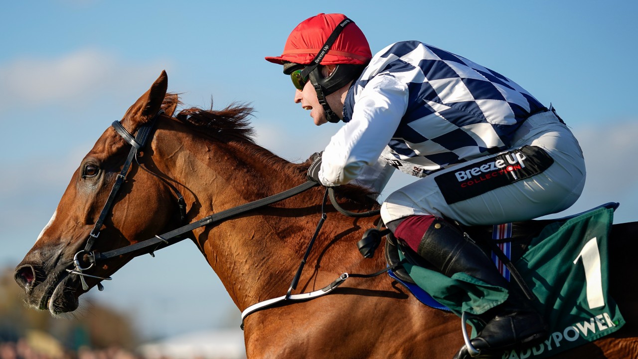 'This is what we get out of bed for' Banbridge brilliant in Arkle