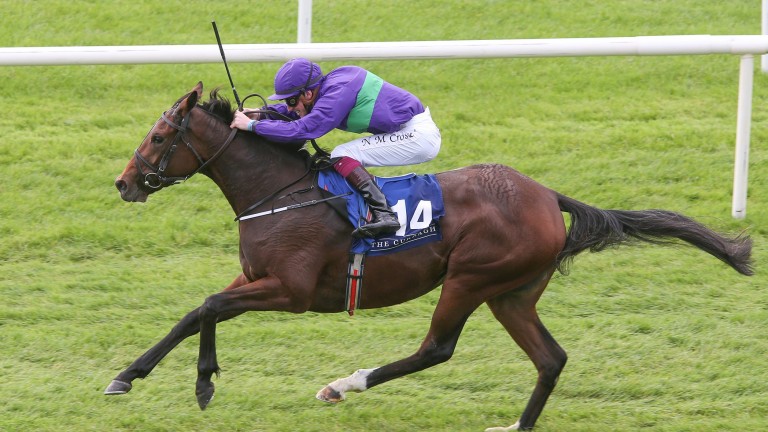 Willesee: the daughter of Gleneagles placed in play sold for 90,000 gns