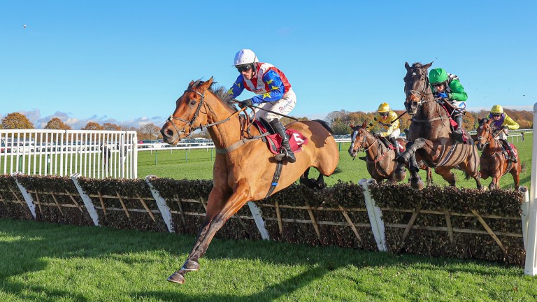 Tahmuras (left): Tolworth aims for recent Haydock winner