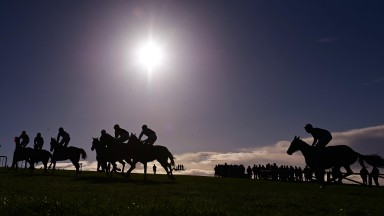 Tinahely PTP 20-11-22 action from the 4YO Maiden Race won by Boston Town & Barry O'Neill(Photo HEALY RACING)