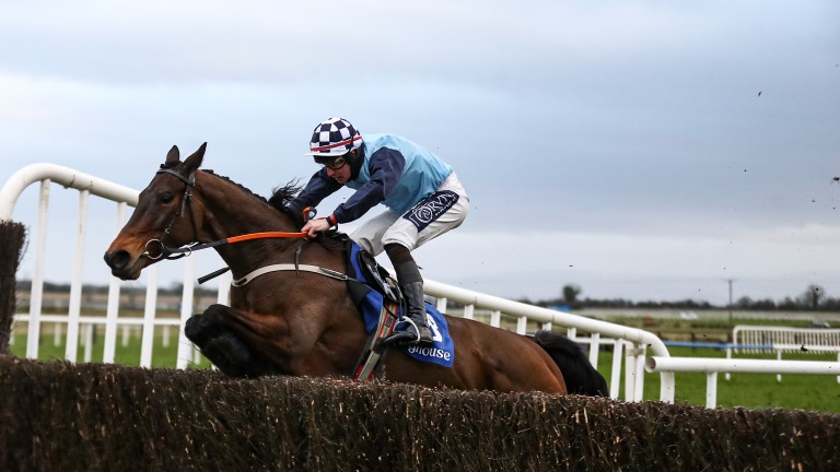 Regina Dracones: lively outsider in Sunday's feature at Navan