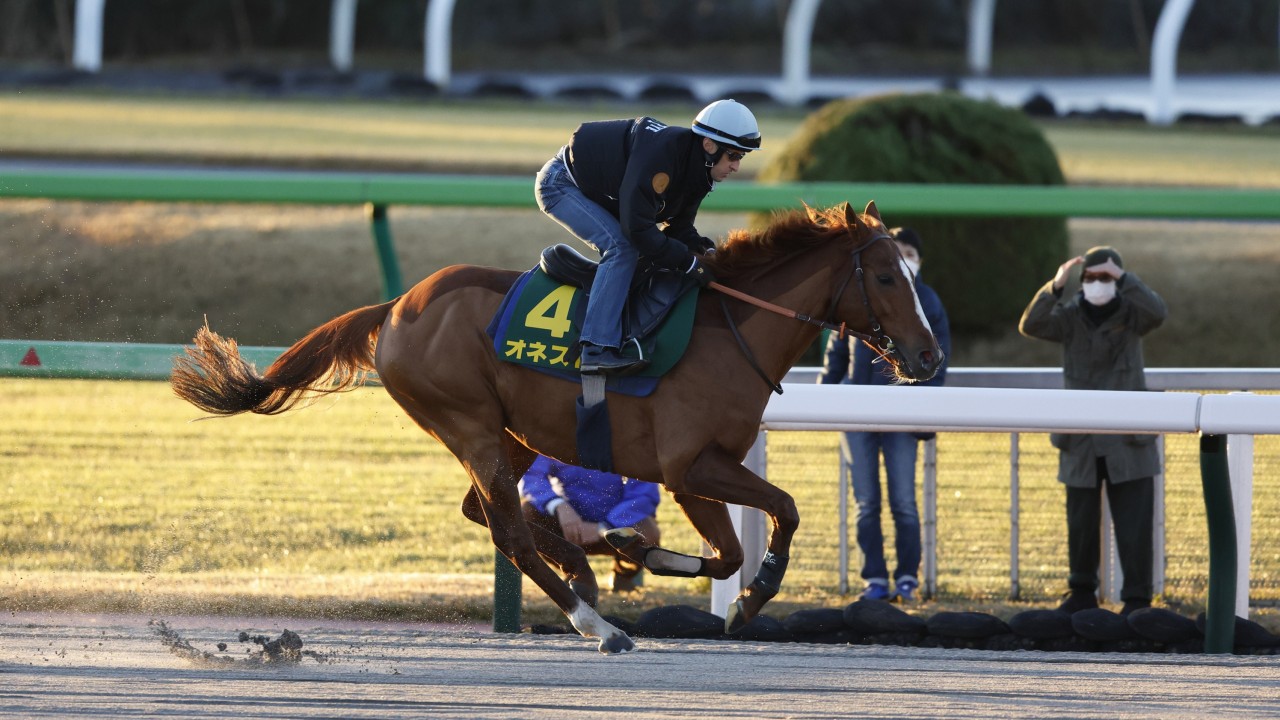 Japan Cup: draw gods kind to visitors as Europe attempts to bridge 17-year  gap | Horse Racing News | Racing Post