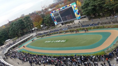 Tokyo's parade ring viewed from the fifth floor public balcony
