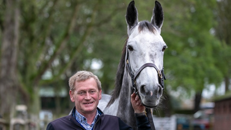 « Ça va être une belle histoire » – Tony Mullins nerveux avant les débuts de la star de Leaps |  L’actualité hippique