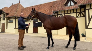 Mishriff: three-time Group 1 winner and near £12 million earner has settled well into stud life at Haras de Montfort et Preaux