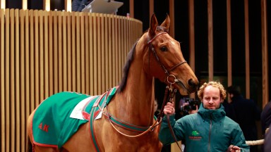 Shahnameh: day two top lot in the ring before selling for €175,000