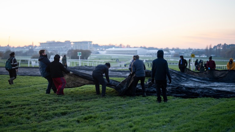 Cheltenham est dans une course «massive» contre la montre pour maintenir la course de samedi en vie |  L’actualité hippique