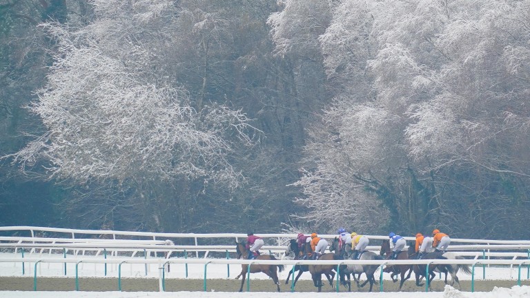 في Lingfield ، يشق المبتدئين طريقهم عبر المناظر الطبيعية الشتوية