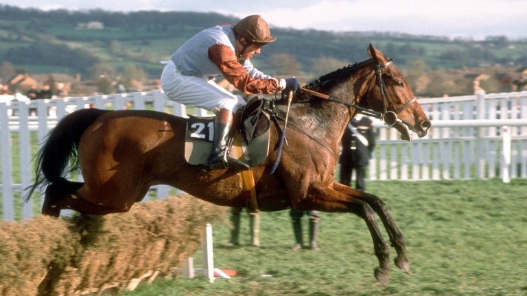 Keightley ganó la final Coral Golden Hurdle en Cheltenham en 1989 en Roger's Princess