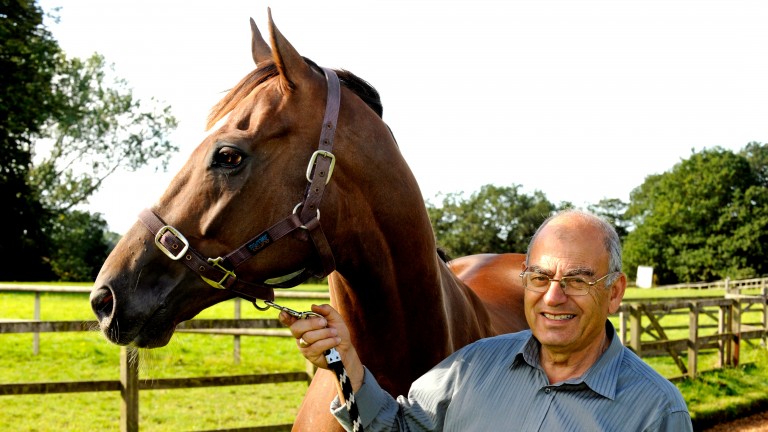 Jeff Sadik: "horses were my therapy"