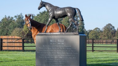 Stradivarius overlooks the statue of the great Mill Reef at the National Stud