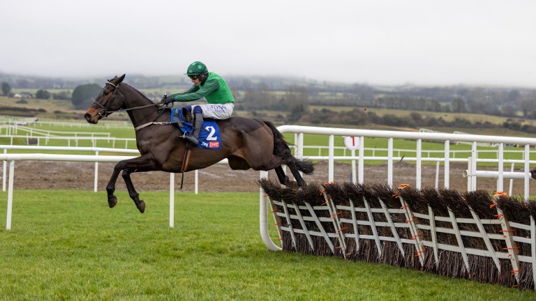 Impaire Et Passe: impressed at the Moscow Flyer for the Willie Mullins team on Sunday