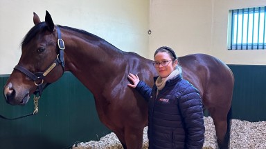 Siyouni: meeting the brilliant French-based sire was a highlight of the trip